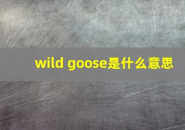 wild goose是什么意思